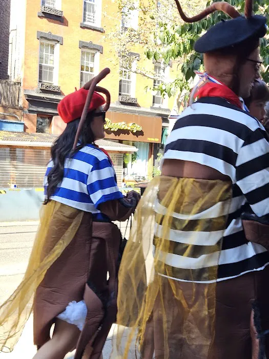 Empire Pest Control Picture 1