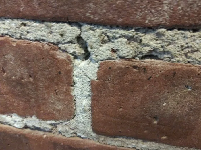 One Hour Pest Control Picture 5