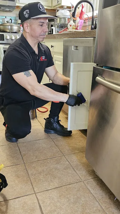 Tribeca Pest Management Picture 4