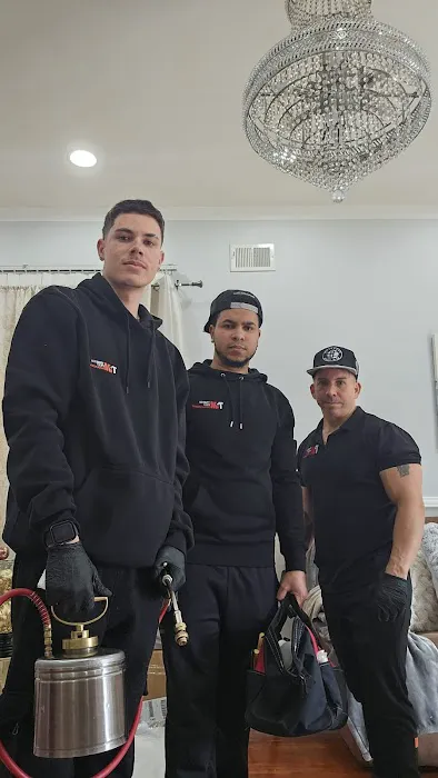 Tribeca Pest Management Picture 3