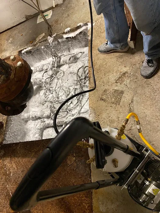 NYC Extermination Picture 9