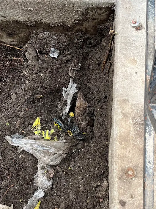 NYC Extermination Picture 4