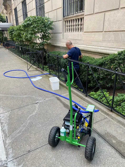 NYC Extermination Picture 1