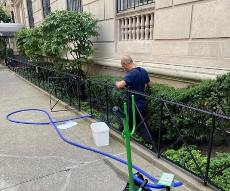 NYC Extermination