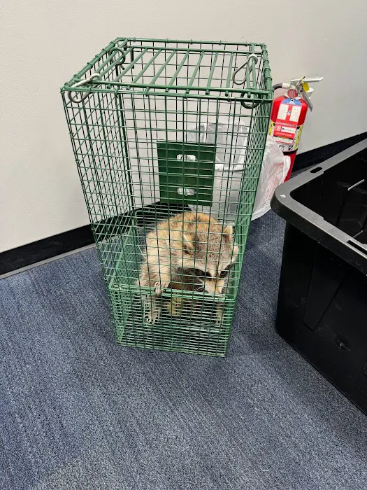 NYC Extermination Picture 7