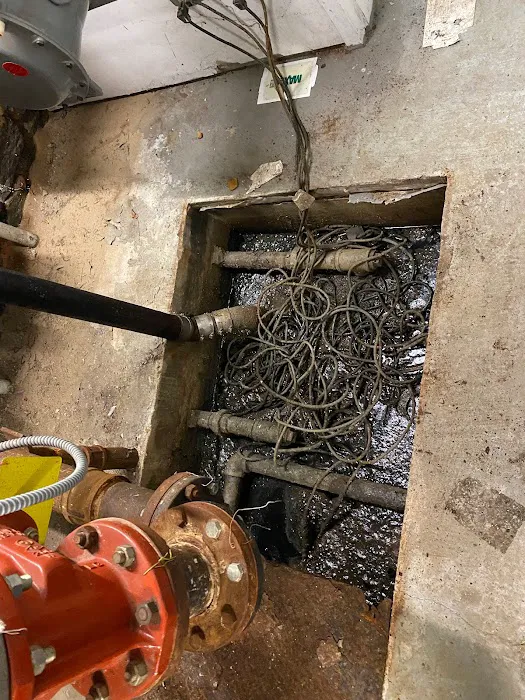 NYC Extermination Picture 6