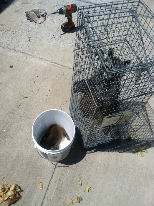 Shield Pest Control Picture 7