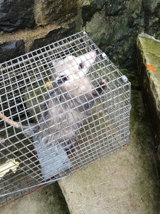 Shield Pest Control Picture 8