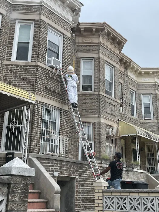 Dr.Buggz Pest Control LLC Picture 7