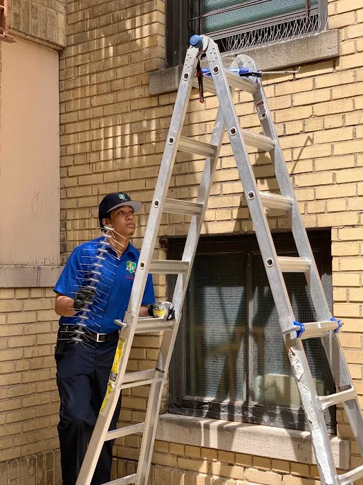 Dr.Buggz Pest Control LLC Picture 3