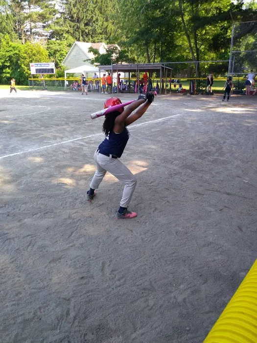 Pro Pest Control Long Island City Picture 6