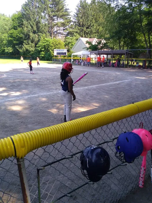 Pro Pest Control Long Island City Picture 5