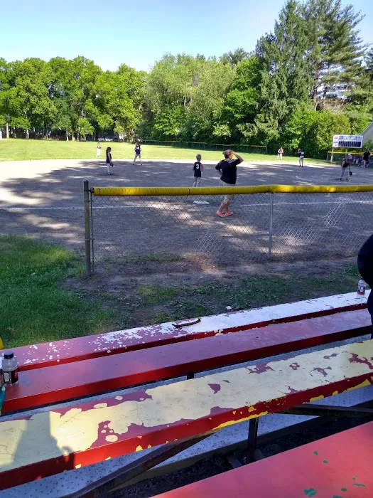 Pro Pest Control Long Island City Picture 1