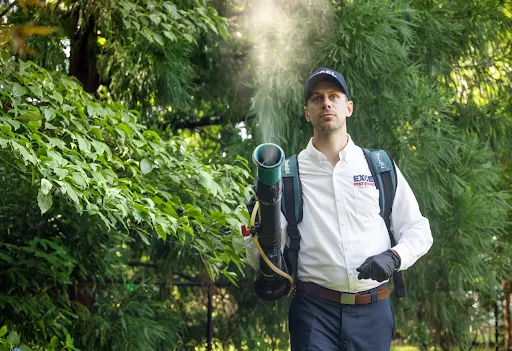 Excel Pest Services Picture 2