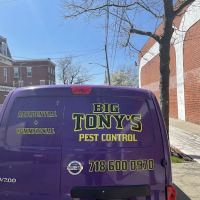 Big Tony’s Pest Control ico