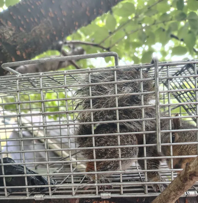 Exterminating Everything Pest Control Picture 1