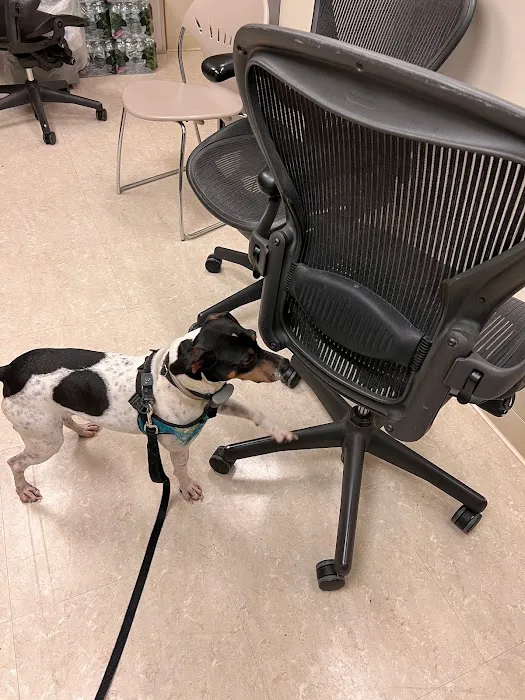 Discreet Bed Bug Inspections Picture 3