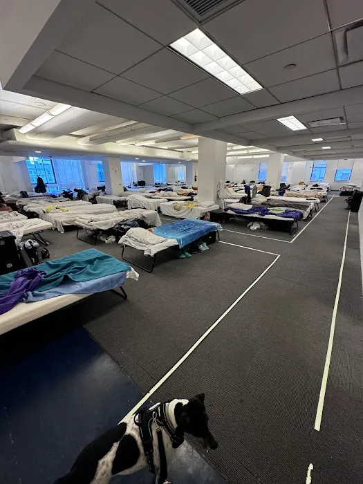 Discreet Bed Bug Inspections Picture 9