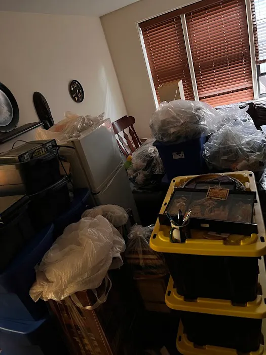 Discreet Bed Bug Inspections Picture 2