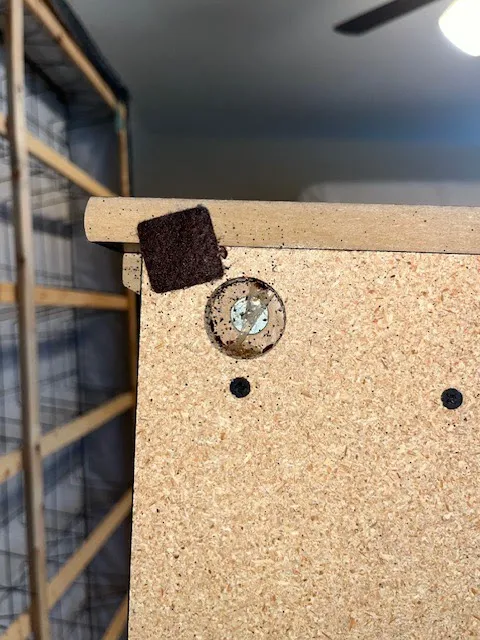 Discreet Bed Bug Inspections Picture 1