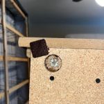 Discreet Bed Bug Inspections