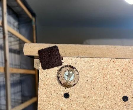 Discreet Bed Bug Inspections