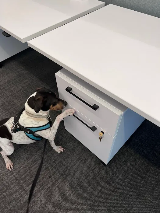 Discreet Bed Bug Inspections Picture 6