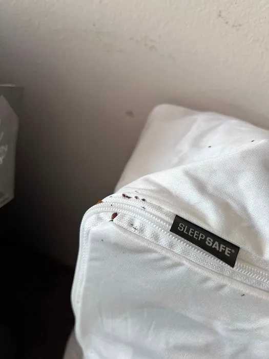 Discreet Bed Bug Inspections Picture 7