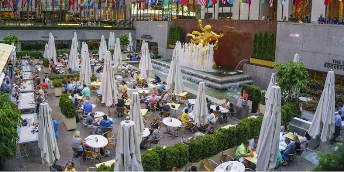 Systematic Pest Elimination Picture 3