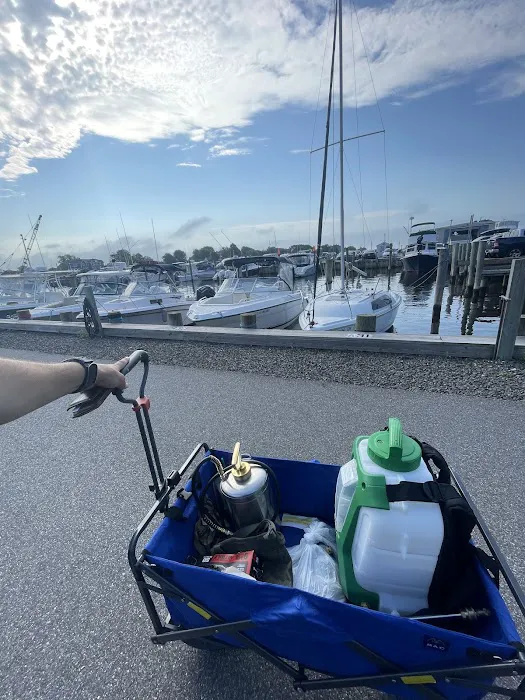 Systematic Pest Elimination Picture 7