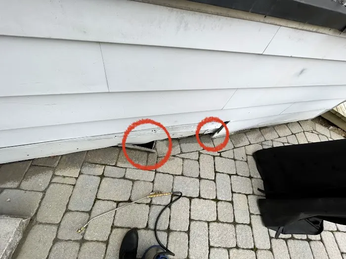 Clearview Pest Control & Exterminator Services Picture 7