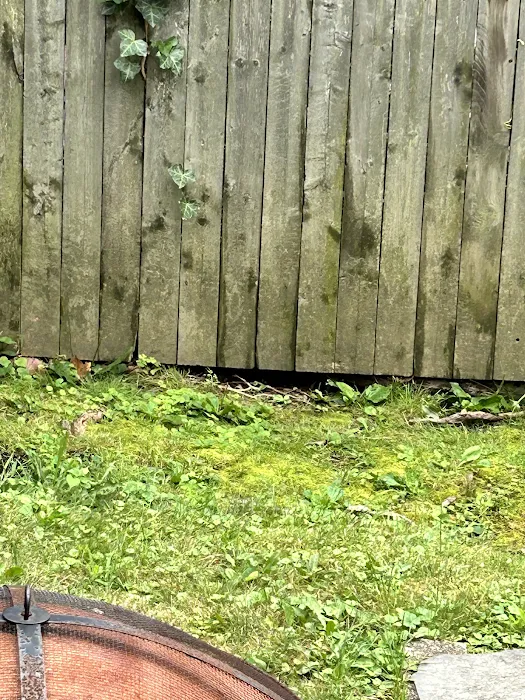 Clearview Pest Control & Exterminator Services Picture 4