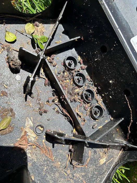 Clearview Pest Control & Exterminator Services Picture 6