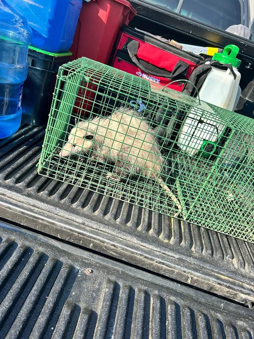 Clearview Pest Control & Exterminator Services Picture 1