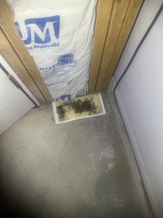 Afco Pest Control Picture 6