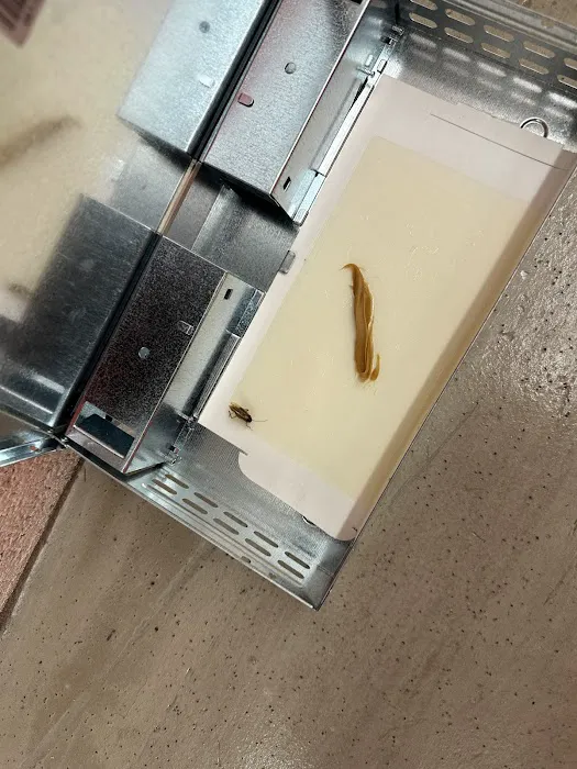 Afco Pest Control Picture 9