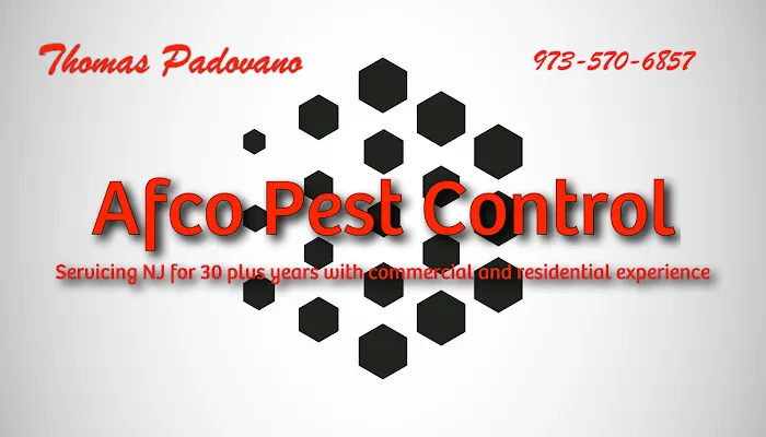 Afco Pest Control Picture 2