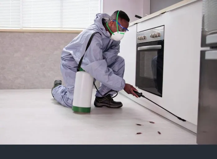 GreenHex Pest Control Picture 5