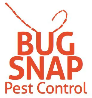 Bug Snap Pest Control Picture 1