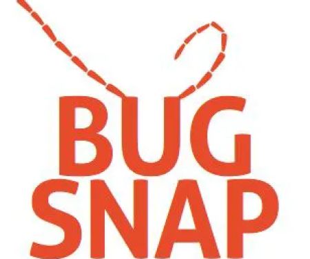 Bug Snap Pest Control