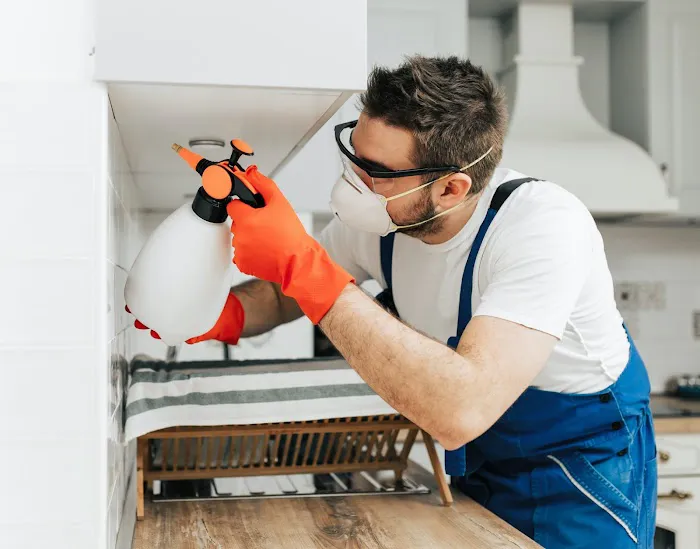 HIBBERT EXTERMINATING | Bed-Stuy Pest Control | Exterminator Brooklyn Picture 7