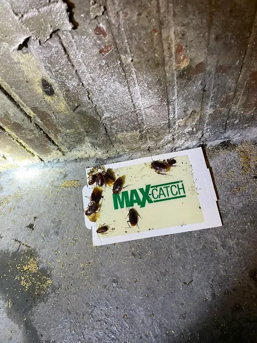 NEW YORK EXTERMINATING INC. Picture 9