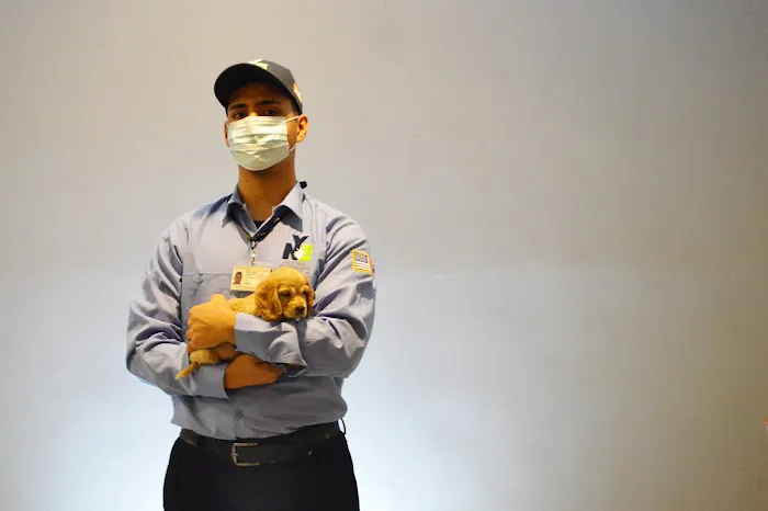 NEW YORK EXTERMINATING INC. Picture 2