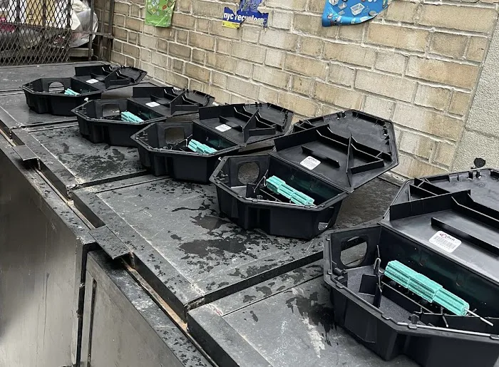 NEW YORK EXTERMINATING INC. Picture 4