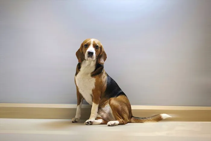 NEW YORK EXTERMINATING INC. Picture 1