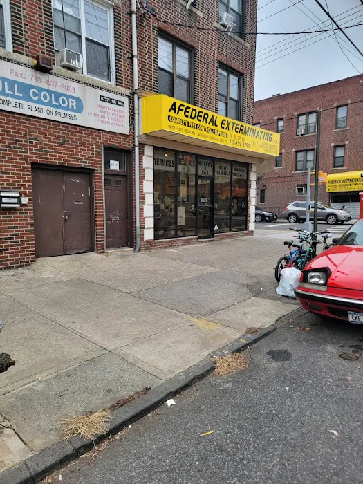 Ecology Exterminating Service Picture 10