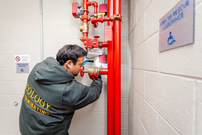 Ecology Exterminating Service Picture 8