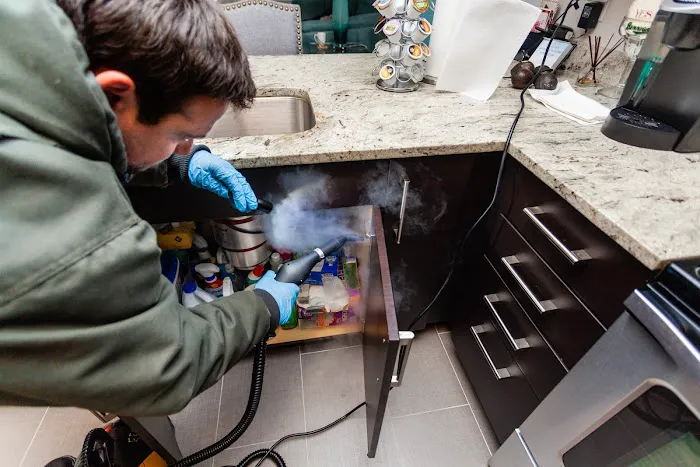 Ecology Exterminating Service Picture 4