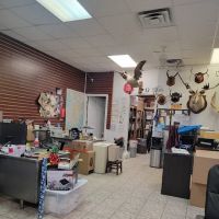 Ecology Exterminating Service ico