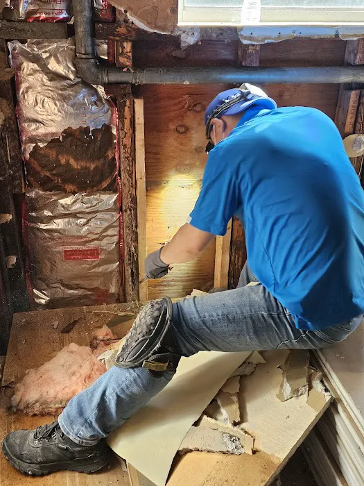 纽约 AA 杀虫公司 AA Pest Control Inc Picture 10